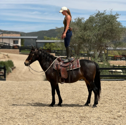 HorseID: 2311857 Oso - PhotoID: 1096868