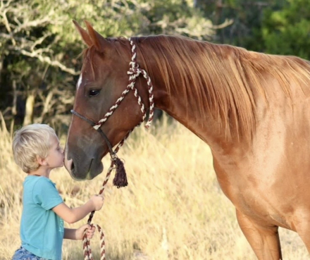 HorseID: 2311868 BARBIES BURN BOOK - PhotoID: 1096833