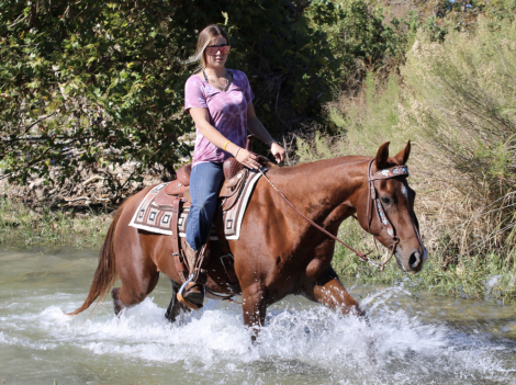 HorseID: 2311868 BARBIES BURN BOOK - PhotoID: 1096837