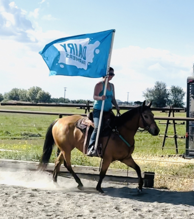 HorseID: 2311869 Pepsbounty - PhotoID: 1096842