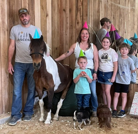 HorseID: 2311886 Excaliber’s Kink E Boots - PhotoID: 1096862