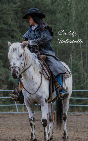 HorseID: 2311891 Cowlitz Timkerbelle - PhotoID: 1096871