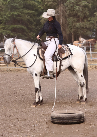 HorseID: 2311891 Cowlitz Timkerbelle - PhotoID: 1096872