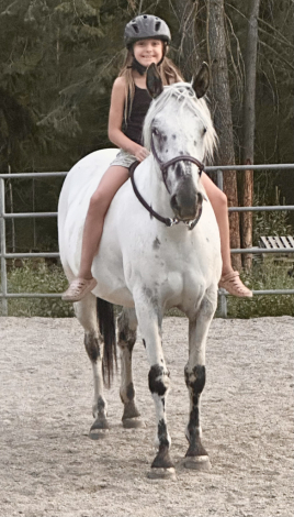 HorseID: 2311891 Cowlitz Timkerbelle - PhotoID: 1096874