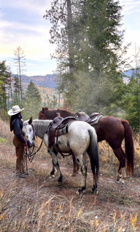 HorseID: 2311891 Cowlitz Timkerbelle - PhotoID: 1096875