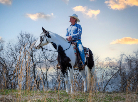 HorseID: 2311903 Apache - PhotoID: 1096881