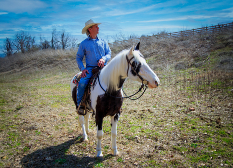 HorseID: 2311903 Apache - PhotoID: 1096885