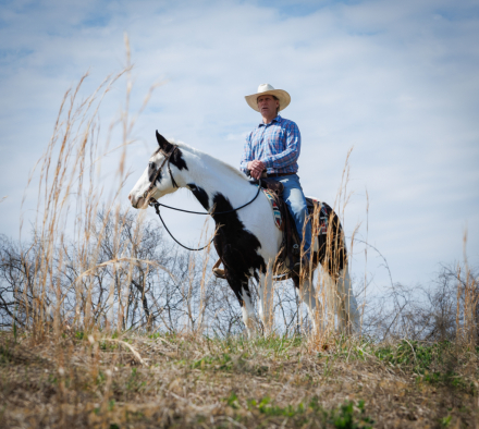 HorseID: 2311903 Apache - PhotoID: 1096886