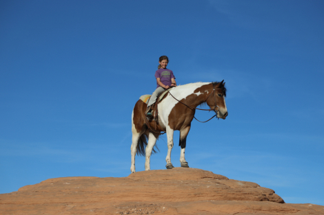 HorseID: 2311909 Petunia - PhotoID: 1096894