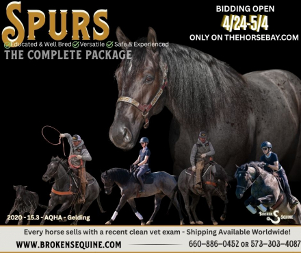 HorseID: 2311927 RMS Firebug - PhotoID: 1096920