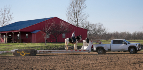 HorseID: 2311929 Abilene - PhotoID: 1096929