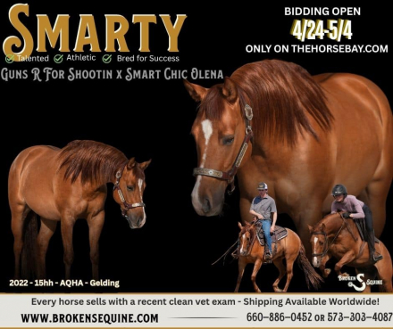 HorseID: 2311932 Smart Shootin Flash - PhotoID: 1096936