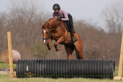 HorseID: 2311932 Smart Shootin Flash - PhotoID: 1096938