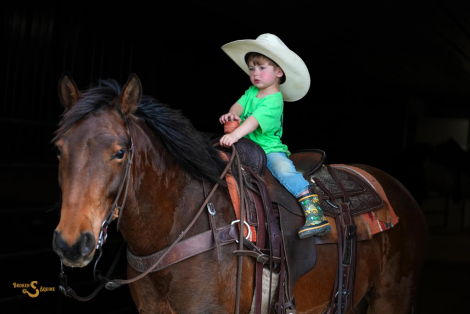HorseID: 2311935 Oakley - PhotoID: 1096942