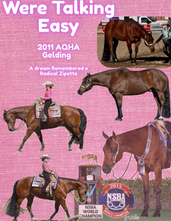 HorseID: 2311946 Were Talking Easy - PhotoID: 1096972