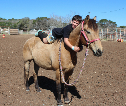 HorseID: 2311963 Dusty - PhotoID: 1096974
