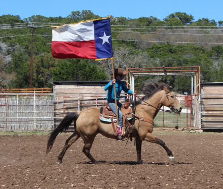 HorseID: 2311963 Dusty - PhotoID: 1096975