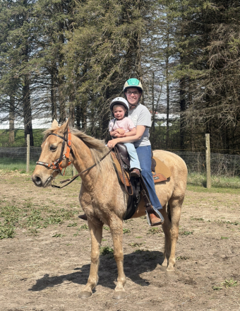 HorseID: 2311997 Montana - PhotoID: 1097010