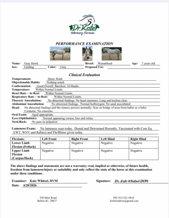 HorseID: 2312012 GrayHawk. Almost 2 hours of videos IN AD.  Vetted. - PhotoID: 1097025