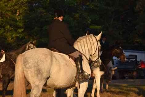 HorseID: 2312012 GrayHawk. Almost 2 hours of videos IN AD.  Vetted. - PhotoID: 1097027