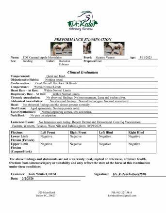 HorseID: 2312014 FoxHunted Obstacles Kids Jumps Drives VIDEO/VETTED - PhotoID: 1097035