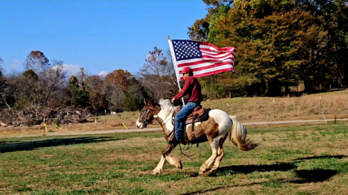 HorseID: 2312014 FoxHunted Obstacles Kids Jumps Drives VIDEO/VETTED - PhotoID: 1097037