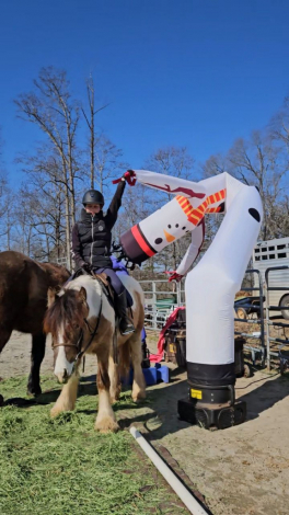 HorseID: 2312014 FoxHunted Obstacles Kids Jumps Drives VIDEO/VETTED - PhotoID: 1097039