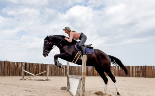 HorseID: 2312040 Josephine II - PhotoID: 1097058