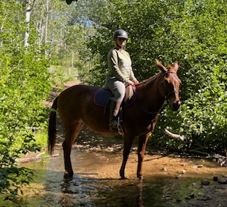 HorseID: 2312048 Rosie - PhotoID: 1097061
