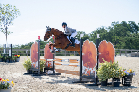HorseID: 2312134 Rimrock - PhotoID: 1097130