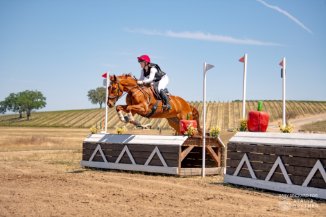 HorseID: 2312134 Rimrock - PhotoID: 1097132