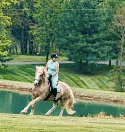 HorseID: 2312135 Flynn - PhotoID: 1097134