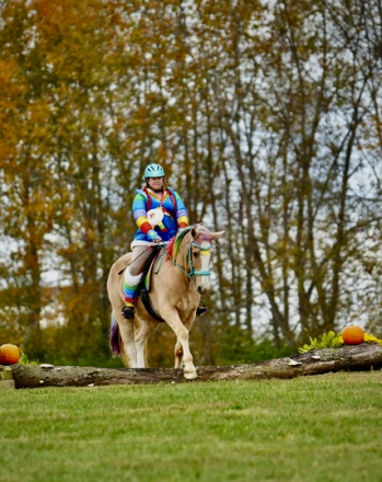 HorseID: 2312135 Flynn - PhotoID: 1097138