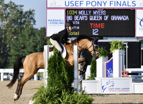 HorseID: 2312147 Big Bear’s Queen of Granada - PhotoID: 1097148