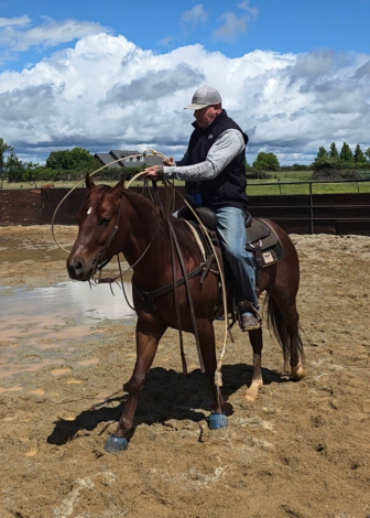 HorseID: 2312153 Americat Shining - PhotoID: 1097160