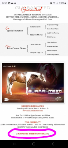 HorseID: 2312201 No name yet - PhotoID: 1097230
