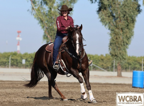 HorseID: 2312203 SIX MOONS WRANGLER - PhotoID: 1097232