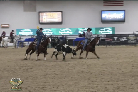 HorseID: 2312210 CashNClever - PhotoID: 1097245