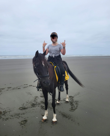 HorseID: 2312218 Pirate - PhotoID: 1097258