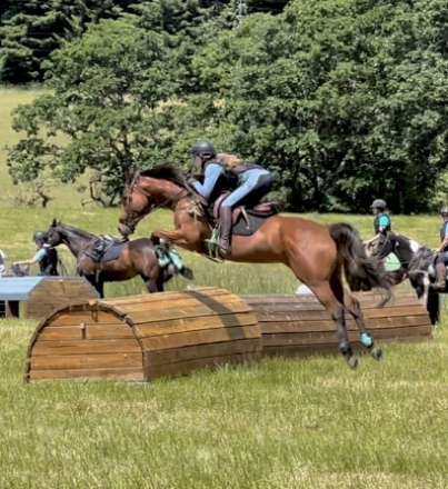 HorseID: 2170705 Eastern Lillian - PhotoID: 1082115