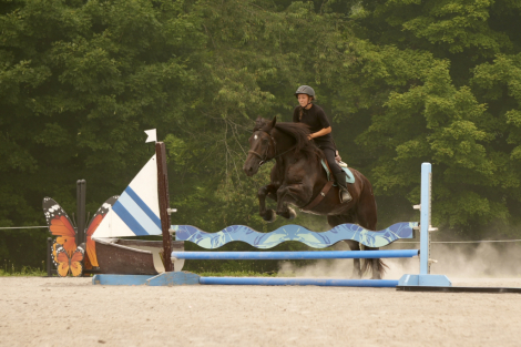 HorseID: 2246616 Bentley - PhotoID: 1104296