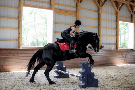 HorseID: 2247444 Dash - PhotoID: 1045869