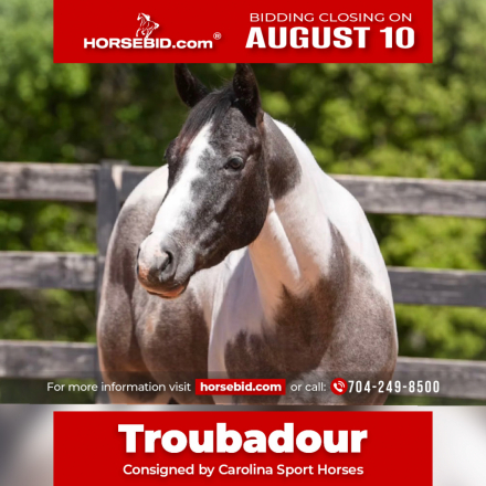 HorseID: 2247446 Troubadour - PhotoID: 1042233