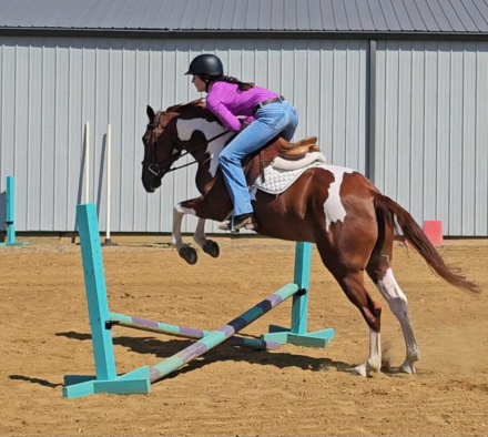 HorseID: 2247451 Double Del - PhotoID: 1045925