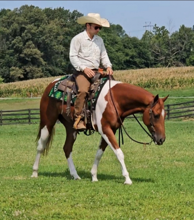 HorseID: 2247451 Double Del - PhotoID: 1045926
