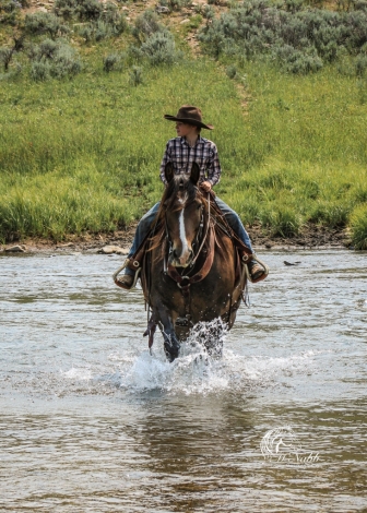 HorseID: 2247455 GOTTABEABIGDIAMOND - PhotoID: 1045891