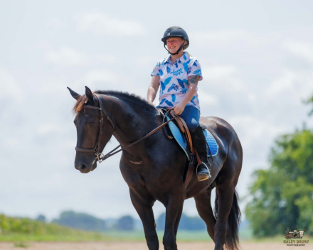 HorseID: 2247457 Orion - PhotoID: 1045875