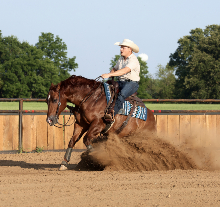 HorseID: 2249906 Rufs Got Guns - PhotoID: 1033500