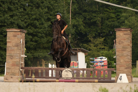 HorseID: 2249907 PocosImpressiveQueen - PhotoID: 1081215