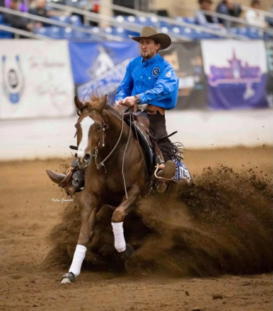 HorseID: 2249911 Joe The Whoa - PhotoID: 1089898
